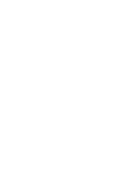 Princess F50